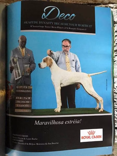 SEASYDE DYNASTY BECAUSE YOUR WORTH IT, a Hann Pointer registered with United Pet Club