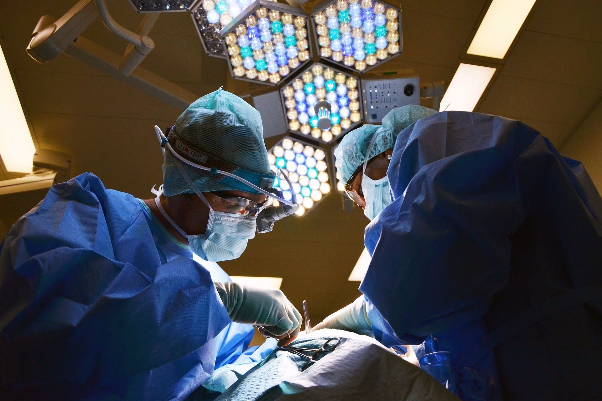 Veterinary staff performing a routine microchip implantation procedure on an animal