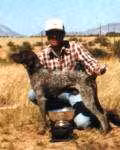 Cascade Steamer | German Wirehaired Pointer 