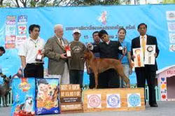 BANGKOK DE THAILAND. LPG, a Hun Thai Ridgeback registered with United Pet Club