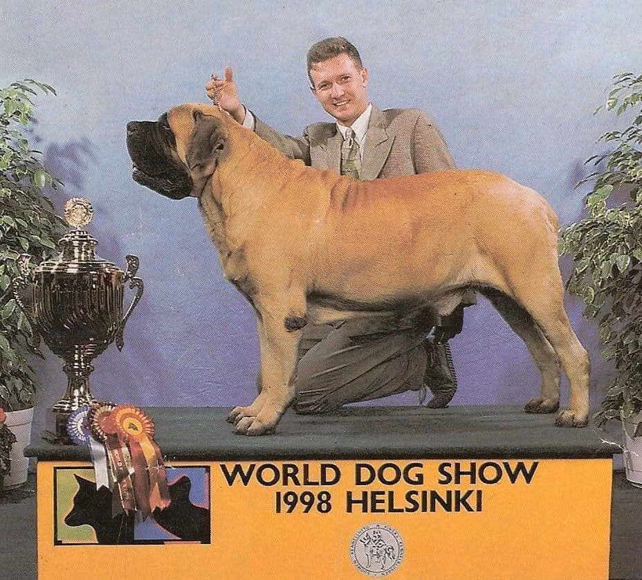 MAX RODERICK, a Male Mastiff registered with United Pet Club
