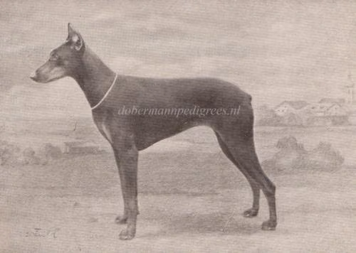 Iphigenia v. Grammont