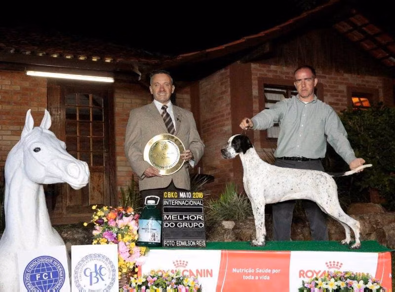 DOBE'S DEN MS SUMMER FEVER, a Hunn Pointer registered with United Pet Club