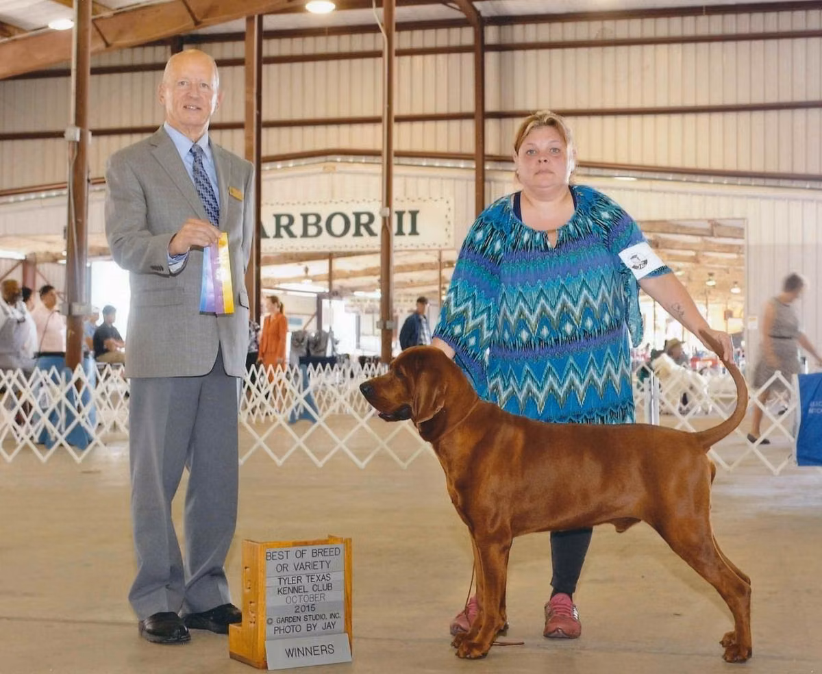 3Colors Jet Red, a Male Redbone coonhound registered with United Pet Club