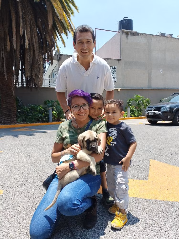 Kong, a Male Mastiff registered with United Pet Club