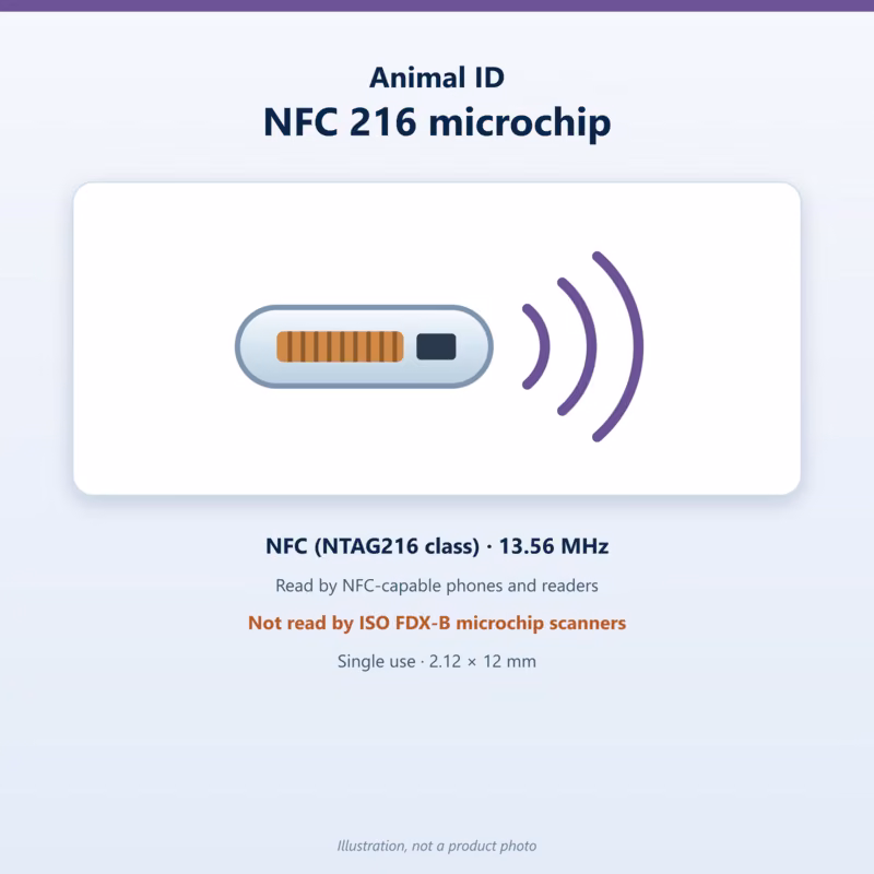 Illustration of an Animal ID single-use NFC 216 microchip, 13.56 MHz, read by NFC phones and not by ISO FDX-B scanners