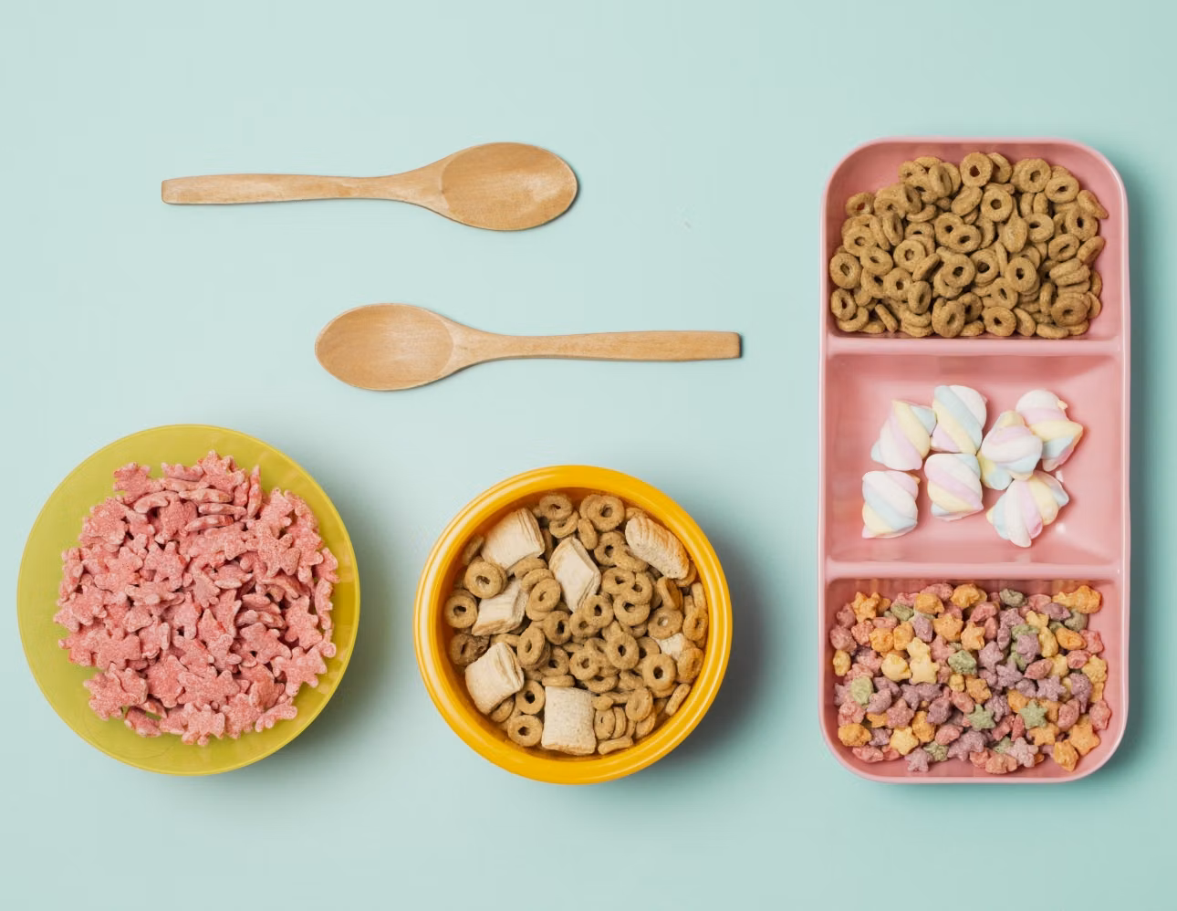 Close up of dry dog kibble pieces in a bowl, showing texture and size