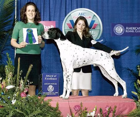 Solivia’s Smooth Sailing — Pointer Solivia’s Smooth Sailing, a Male Pointer registered with United Pet Club