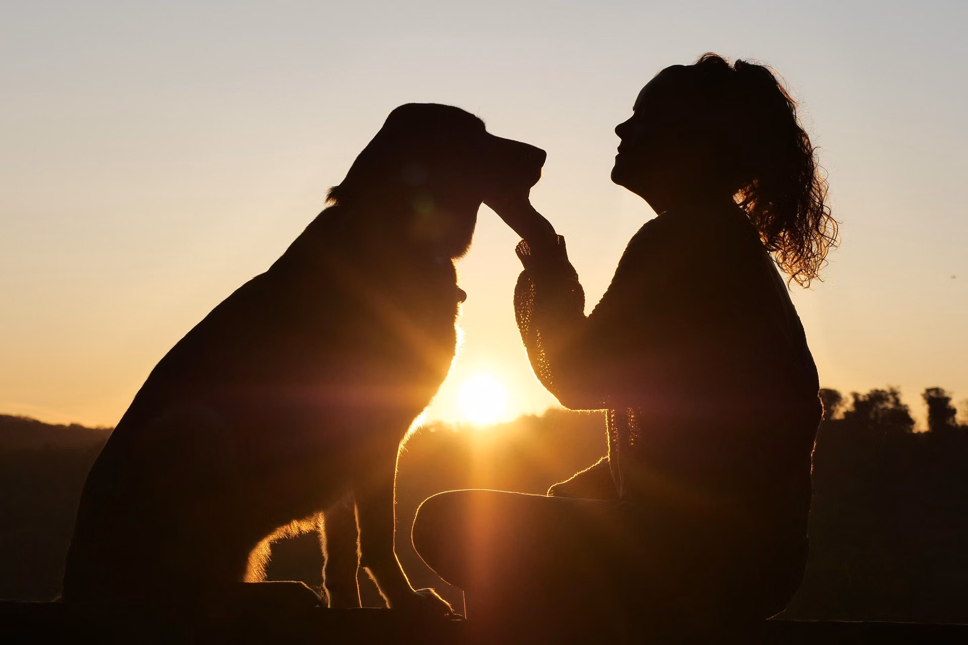A new pet owner sitting with a dog during a contract signing meeting