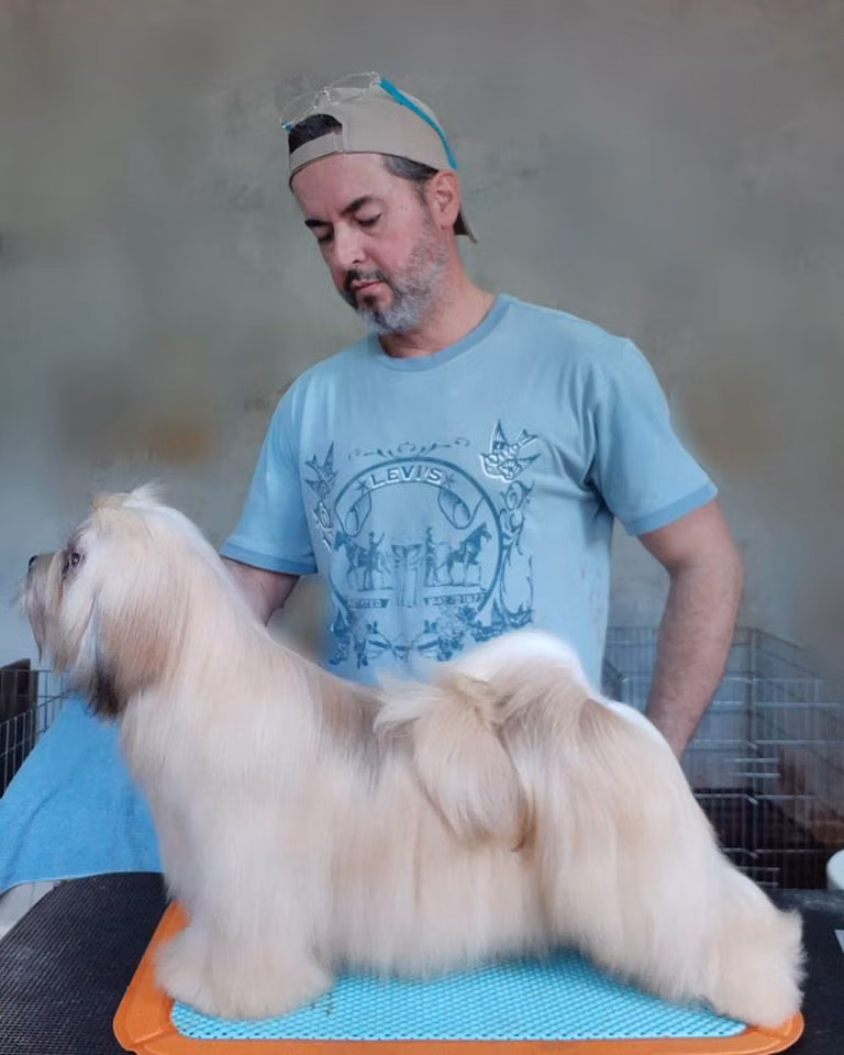 WAFER'S MASTERPIECE, a Mâle Lhassa Apso registered with United Pet Club