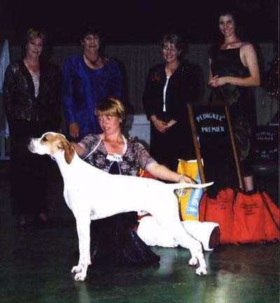 Chesterhope Let Be Serious, a Hann Pointer registered with United Pet Club